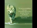 #Lone wolf | Lone wolf inspirational quotes