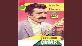 Engin Ol Gönül Engin Ol — Feyzullah Çınar kapak görseli
