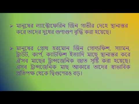 ভিডিও: একটি প্রাণী হিসাবে মাউফ্লোন সম্পর্কে সমস্ত