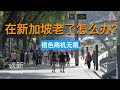 在新加坡老了怎么办？银色商机无限 |俊玮谈新