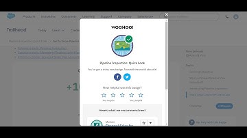 Pipeline Inspection: Quick Look - Trailhead Salesforce #2024