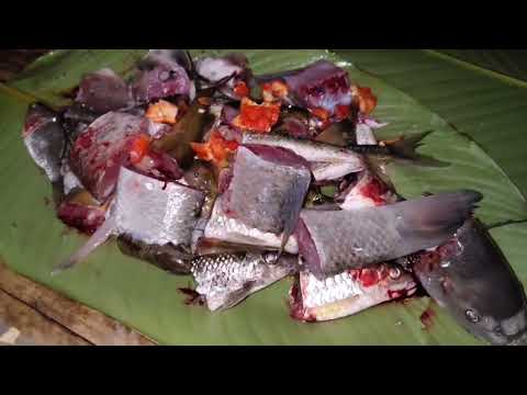 Net Fishing & cooking in Bamboo in Night time🐟🐟