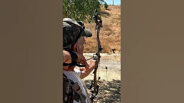 Cobra KILL Shorts Archery Bowandarrow 3d 