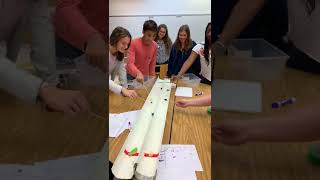 Cockroach races