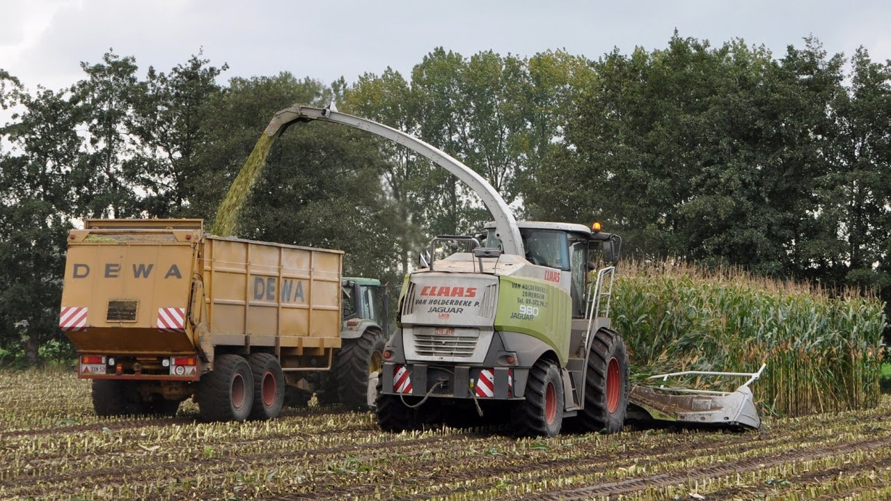 Loonwerk Van Holderbeke - Claas Jaguar 980 - mais hakselen