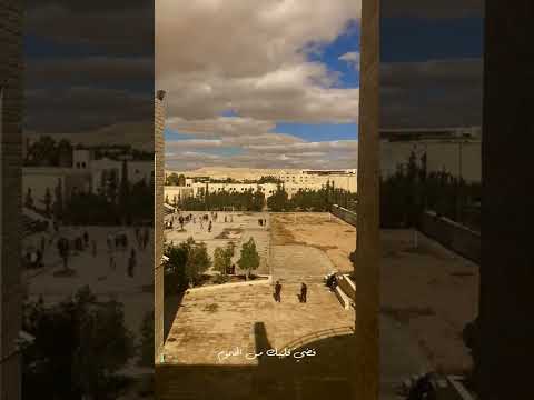 الجامعة الهاشمية