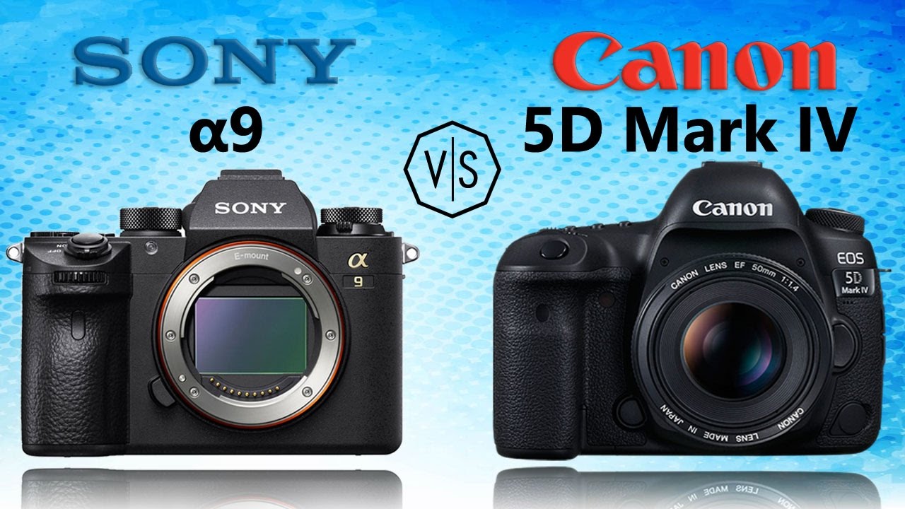 Sony Alpha A9 vs Canon EOS 5D Mark IV - YouTube