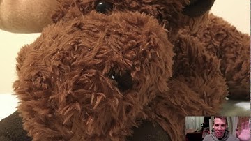 Handmade Hero Mac OS Platform Layer Day 003, Allocating a Backbuffer