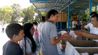 Mini Mini Birler Balık Yesi̇nler...