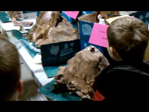 Southeast Christian Academy science fair