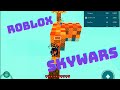 ROBLOX SKYWARS When Friends Attack!