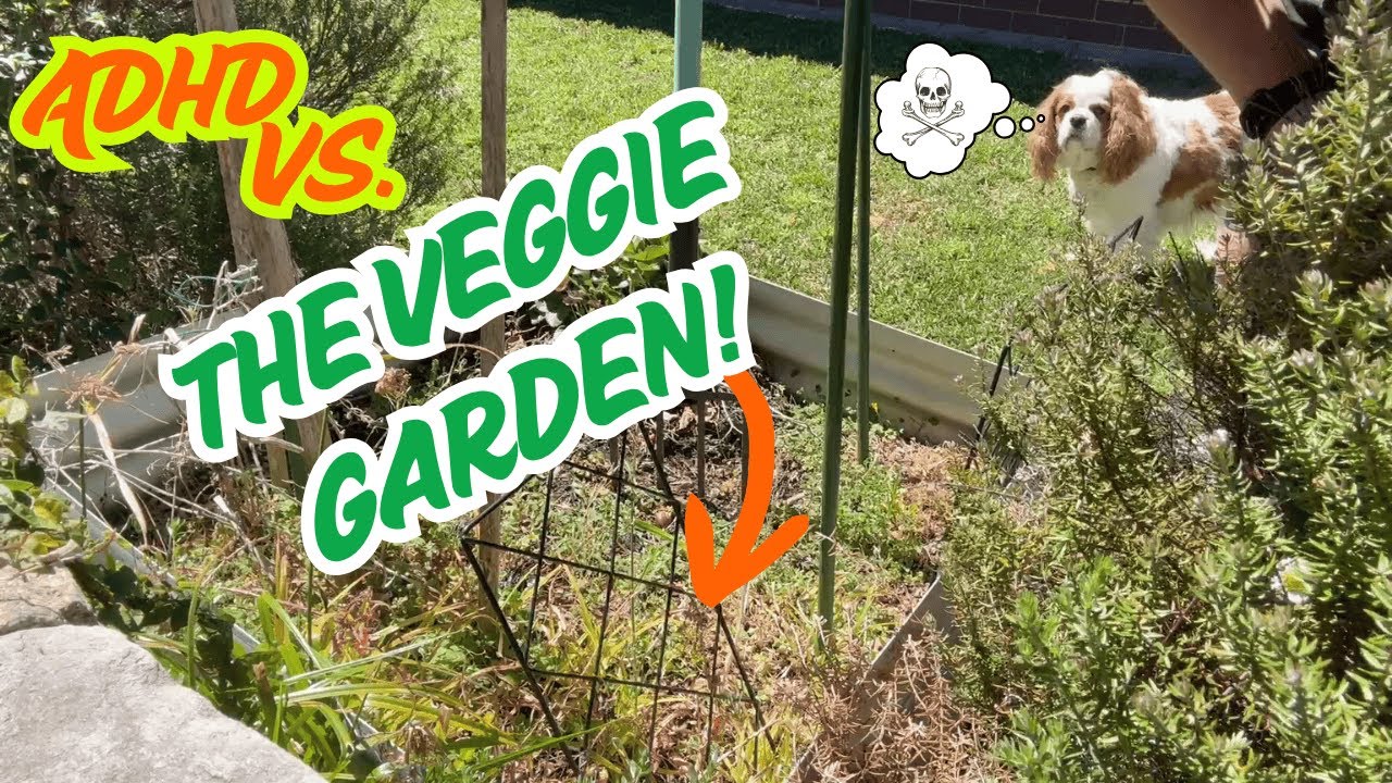 ADHD vs The Veggie Garden: Spoiler… It Wasn’t Me Who Won