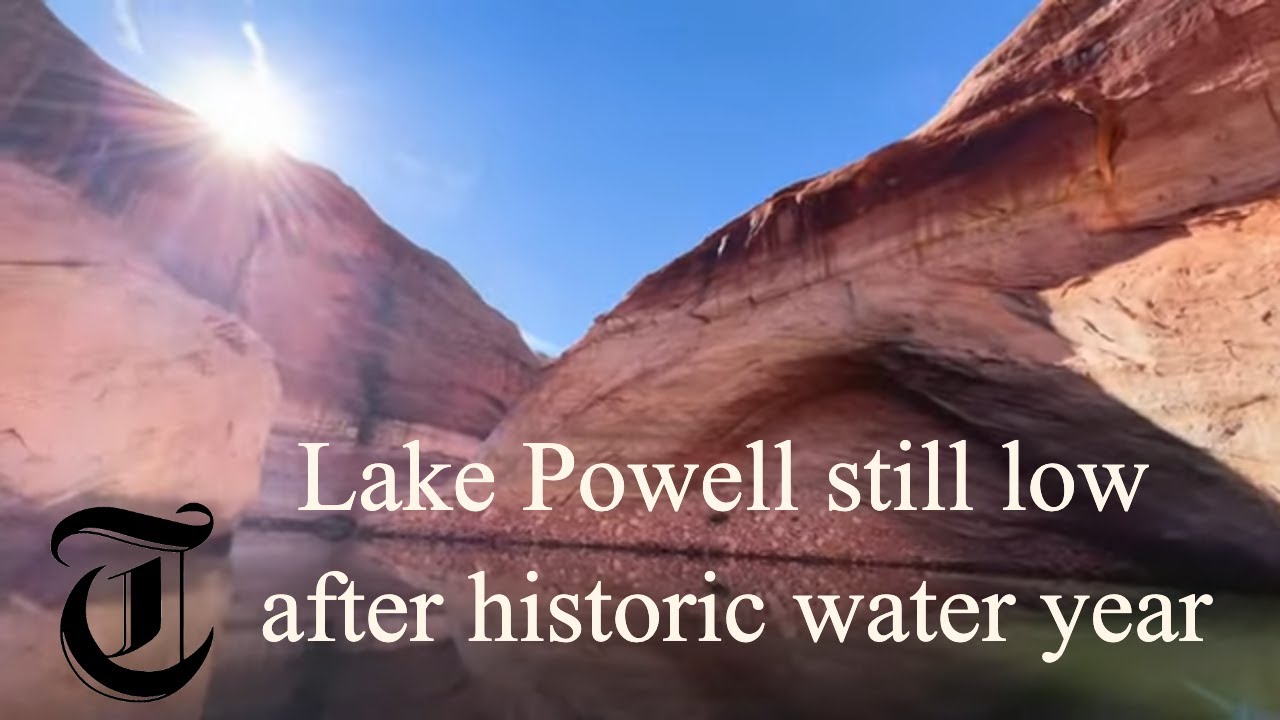 Despite historic water year, low water at Lake Powell reveals thriving native ecosystems