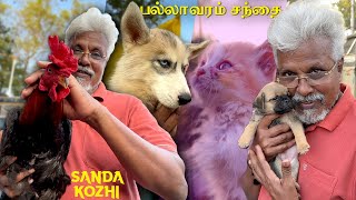 Pallavaram Friday Market Vlog with Dad 😍🐶