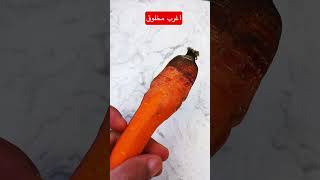 شاهد مخلوق نباتي شبيه الانسان shorts