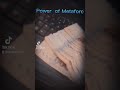 INTER NATIONAL PALT FORM ONLY ON META FORCE 100 TRUSTED COMPANY INTER NATIONAL PALT FORM ONLY ON META FORCE 100 TRUSTED COMPANY