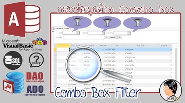 กรองข้อมูลด้วย Combo Box หลายเงื่อนไข และการค้นหาข้อมูลที่กรอง