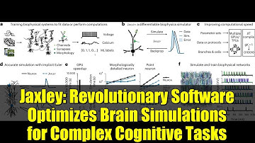 Jaxley: Revolutionary Software Optimizes Brain Simulations for Complex Cognitive Tasks