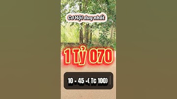 Đất Dầu Tiếng I Ngộp lắm rồi anh em ơi #datgiare