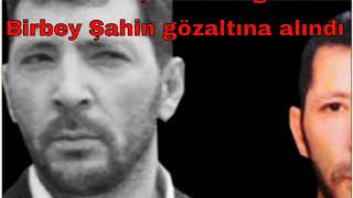 Birbey Şahin Gözaltına Alındı