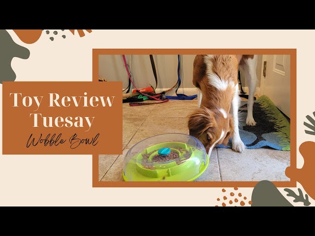 Outward Hound Dog Wobble Bowl