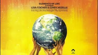 Elements of Life - Into My Life (You Brought The Sunshine) (Louie Vega Roots Mix)