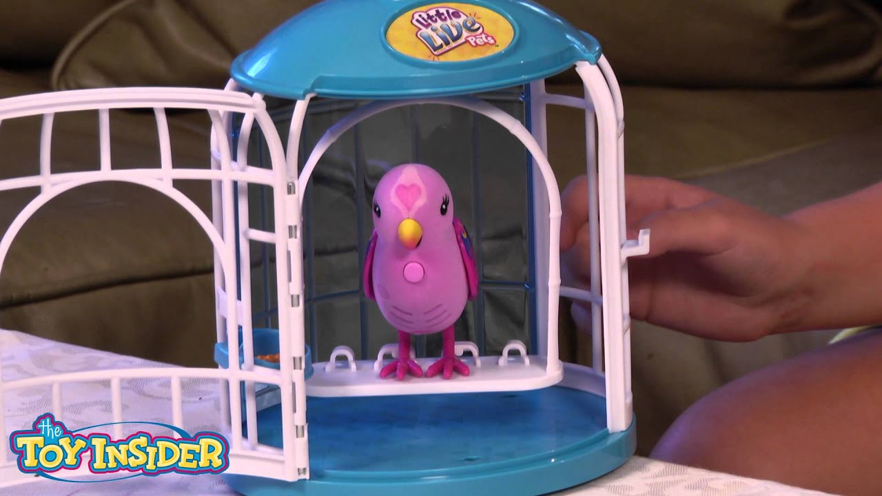 Little Live Pets Review by the Toy Insider Kids YouTube