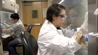 High School Students Learning Stem Cell Research: The Future's Bright for Stem Cell Therapies
