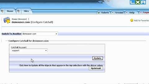 How to configure a catchall email account in LxAdmin - LXAdmin Tutorials