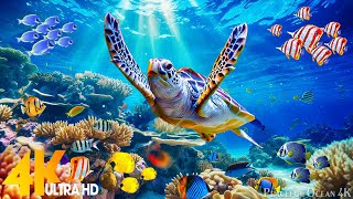 [NEW] 4HRS Stunning 4K Underwater Wonders - Relaxing Music  Coral Reefs, Fish \& Colorful Sea Life #3