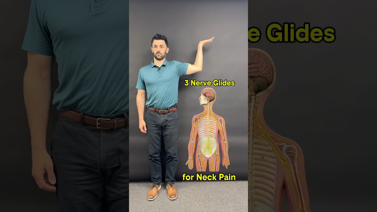 3 Nerve Glides for #neckpain #physicaltherapy