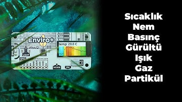 Enviro+ ile Hava İstasyonu ve Ölçüm Yapmak Artık Çocuk Oyuncağı