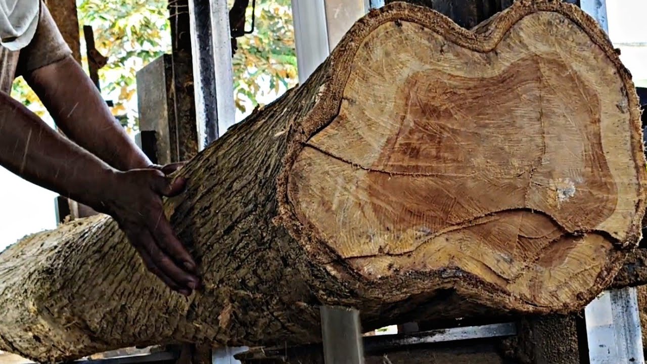 Very Careful, the process of sawing a very Beautiful Old Wood... - YouTube