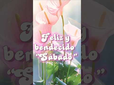 Feliz sábado para