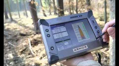 Standing trees volume assessment