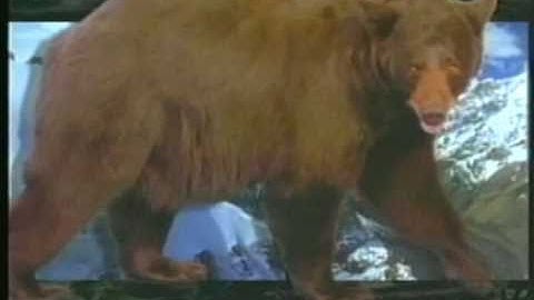 Realms of the Russian Bear - INTRO