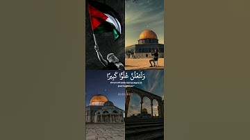 "لحظات من الخشوع - تلاوة عذبة من القرآن الكريم"