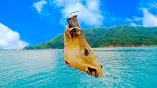 【驚愕】沖縄の離島では猪の〇〇を餌に釣りするらしいです。【西表島遠征#1】