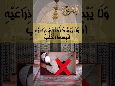 فيديو الحديث - صورة مصغرة