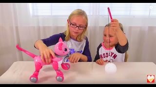 Играем с Интерактивным Котенком ЗУМЕР КИТТИ. Распаковка. Zoomer Kitty Unboxing and PLaying Играем с Интерактивным Котенком ЗУМЕР КИТТИ. Распаковка. Zoomer Kitty Unboxing and PLaying