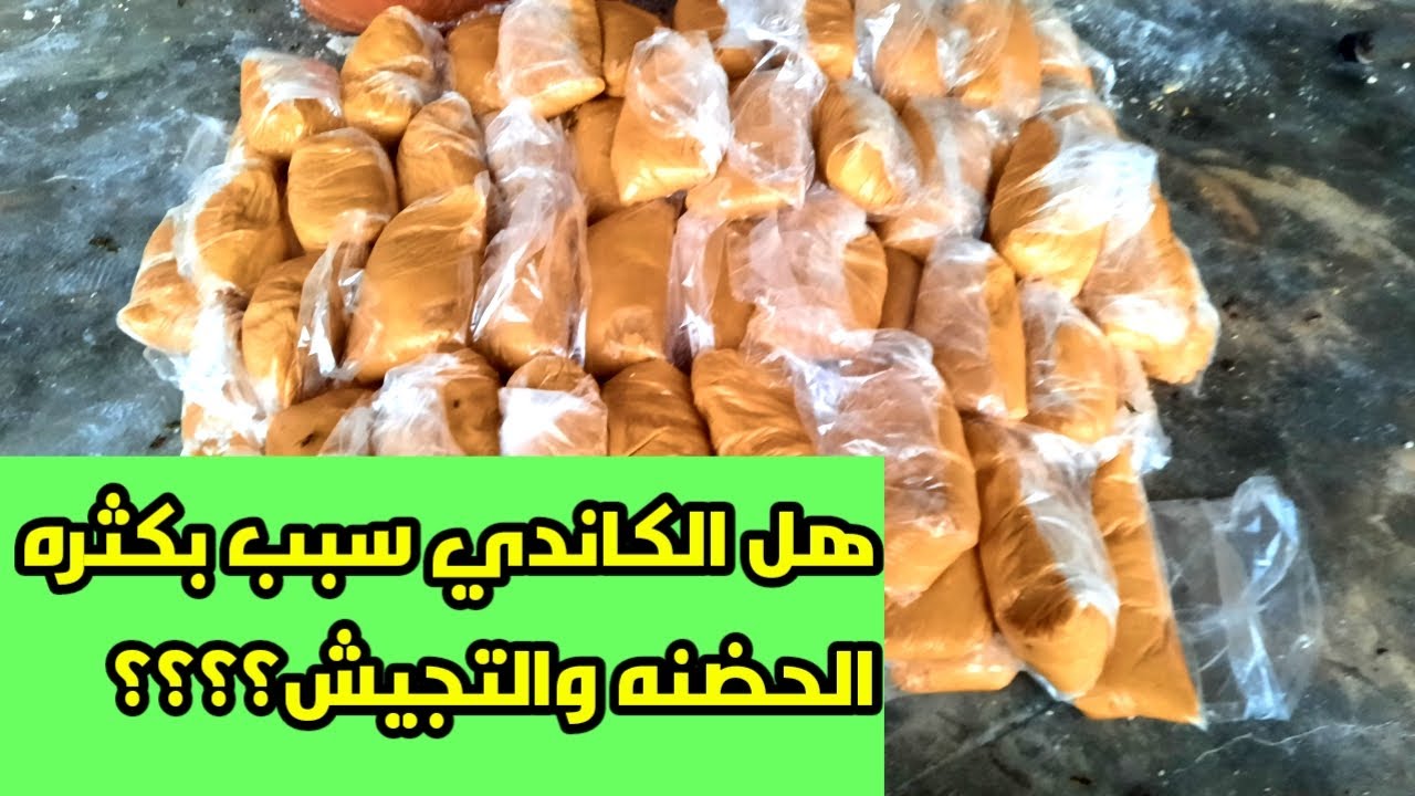 العجينه البروتينيه وتأثيرها على الحضنه صيفا