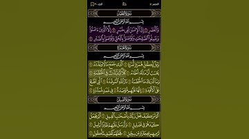 سورة الهمزة-تلاوة الشيخ تميم الريمي