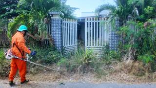 15 Minutes of SATISFYING Transformation — An ABANDONED House Back to LIFE