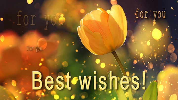 🌺🌺🌺 Best Wishes For You!  🌺🌺🌺 PARALLAX Video Greeting Cards