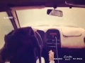 ياهجوسي اسري الليل كله لطواء ياهجوسي اسري الليل كله لطواء