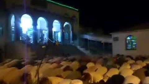 قارئ يقلد الشيخ ماهر المعيقلي في صلاة التراويح من الجزائر