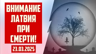 :    ! | 23.03.2025 |  