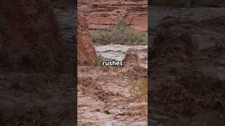 Erosion and Gold Zones 101 (Module 3) Dry Washes and Flash Flood Traps #drywashgold #flashfloodgold
