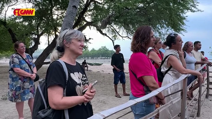 (Rubricas) Dader Kmanek –  Grupu konservasaun lenuk Tasi mak grupu ne’ebé  kria husi estudante ...