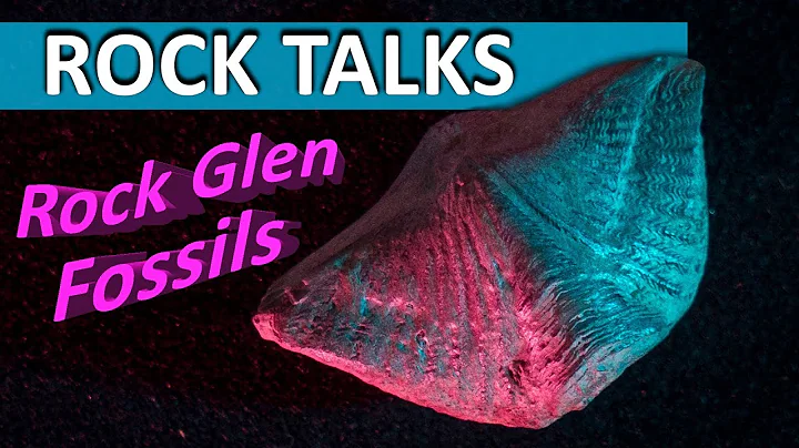 Fossil Hunting and Geologizing at Rock Glen - Rock...